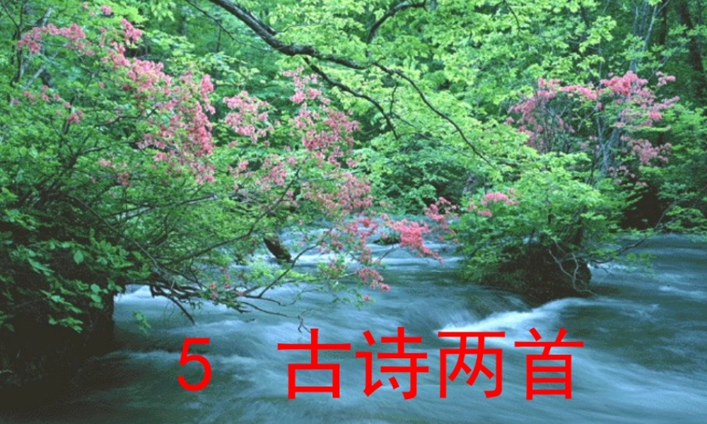 五年级语文下册 1.5《古诗两首》课件 苏教版-苏教版小学五年级下册语文课件