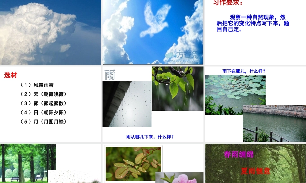 五年级语文下册 第一单元习作指导课件 苏教版-苏教版小学五年级下册语文课件