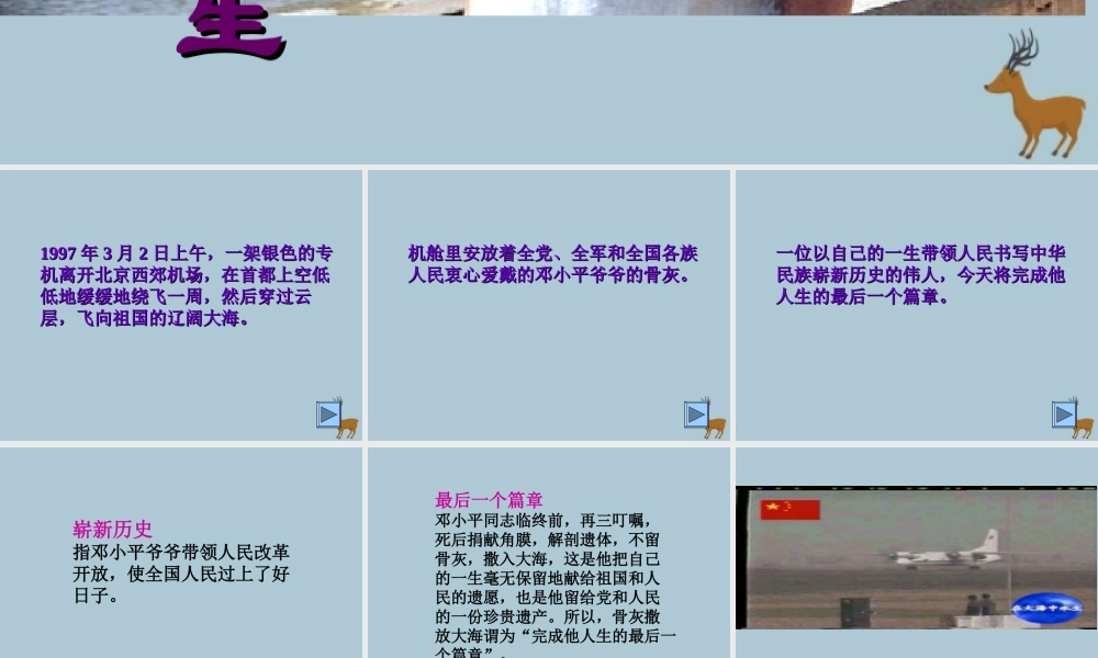 五年级语文上册 第四单元 13 在大海中永生教学课件 苏教版-苏教版小学五年级上册语文课件