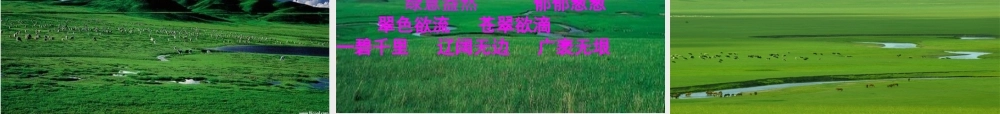 五年级语文下册 第一组 1 草原课件1 新人教版-新人教版小学五年级下册语文课件