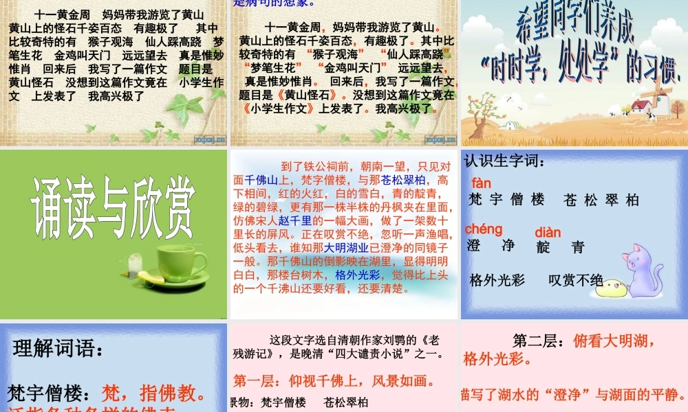 五年级语文下册 第四单元练习课件 苏教版-苏教版小学五年级下册语文课件