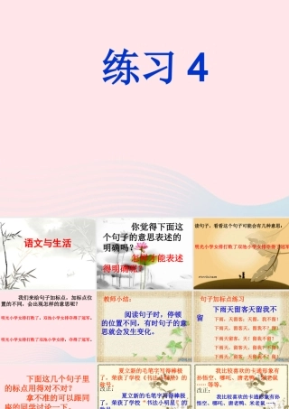 五年级语文下册 第四单元练习课件 苏教版-苏教版小学五年级下册语文课件