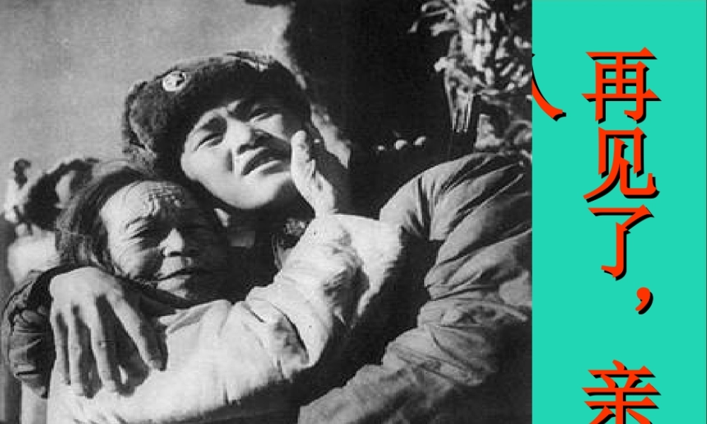 五年级语文下册 第四组 14 再见了 亲人课件2 新人教版-新人教版小学五年级下册语文课件