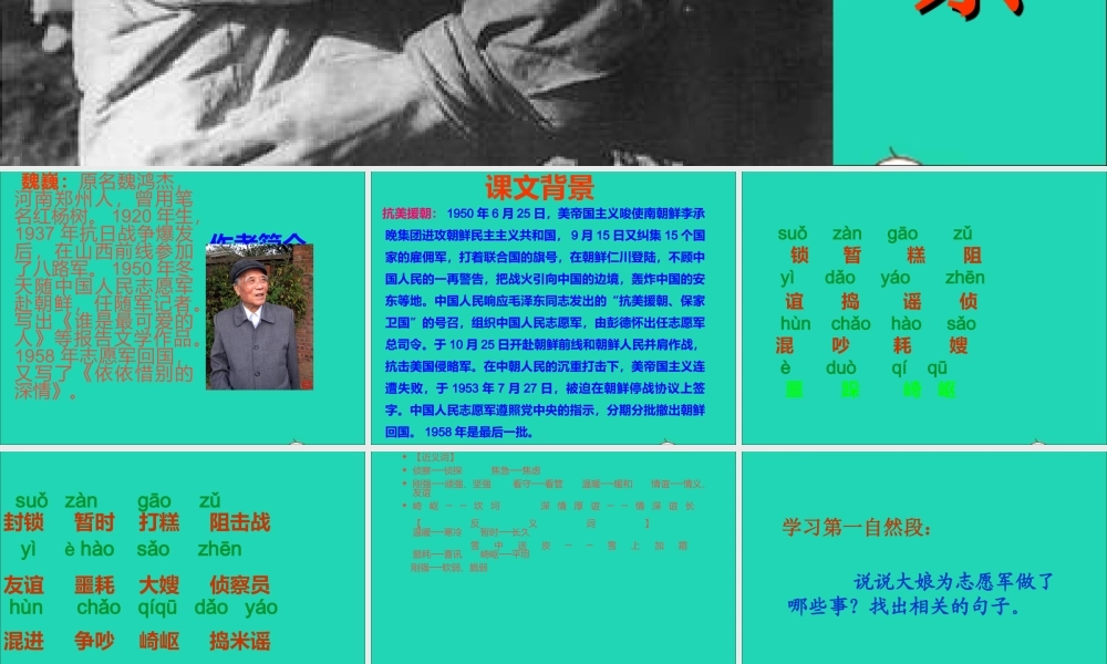 五年级语文下册 第四组 14 再见了 亲人课件2 新人教版-新人教版小学五年级下册语文课件