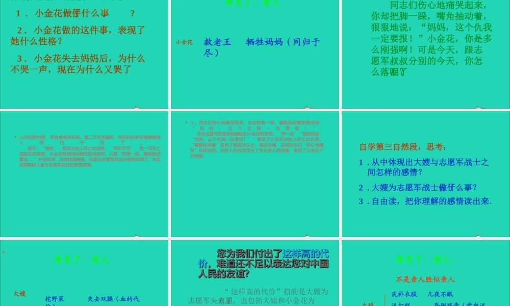 五年级语文下册 第四组 14 再见了 亲人课件2 新人教版-新人教版小学五年级下册语文课件