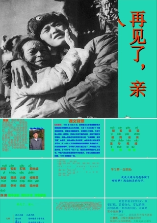 五年级语文下册 第四组 14 再见了 亲人课件2 新人教版-新人教版小学五年级下册语文课件