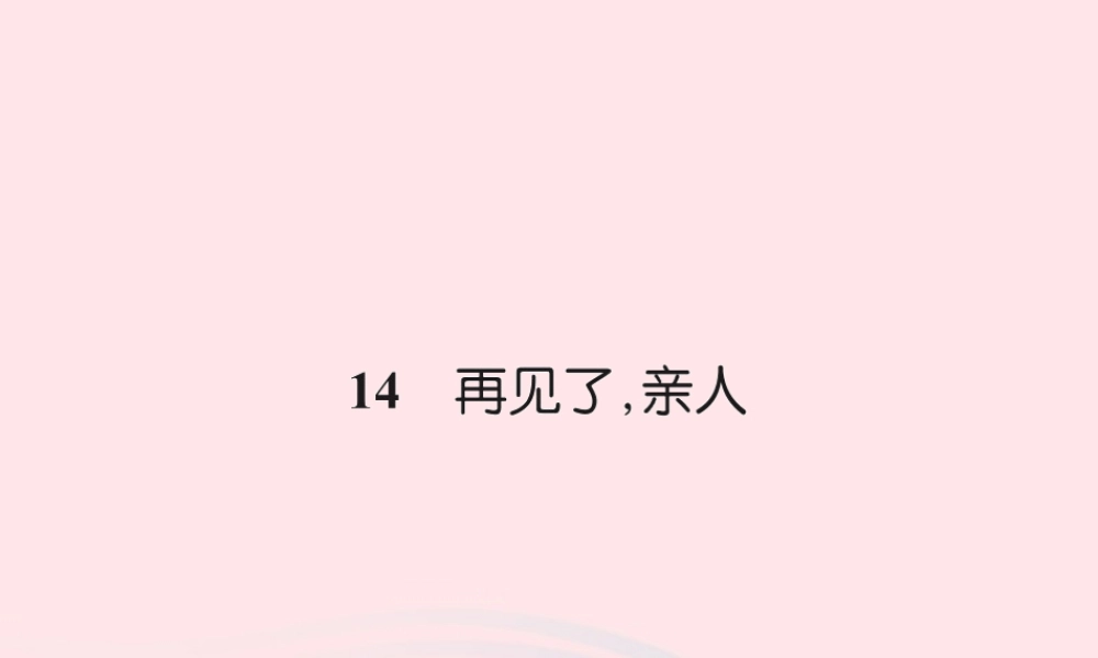 五年级语文下册 第四组 14 再见了 亲人习题课件 新人教版-新人教版小学五年级下册语文课件