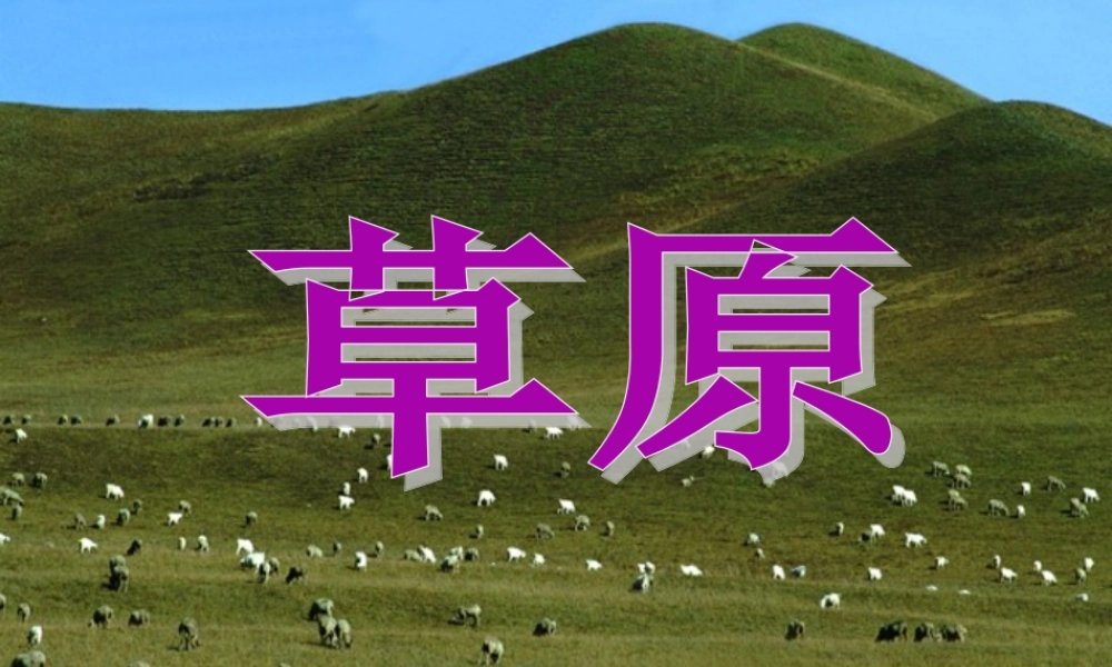 五年级语文下册 第一组 1 草原课件5 新人教版-新人教版小学五年级下册语文课件