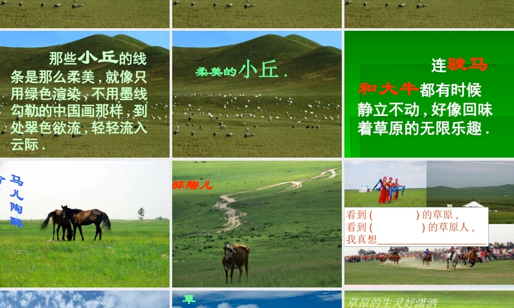 五年级语文下册 第一组 1 草原课件5 新人教版-新人教版小学五年级下册语文课件