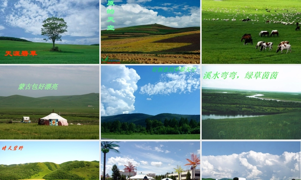 五年级语文下册 第一组 1 草原课件5 新人教版-新人教版小学五年级下册语文课件