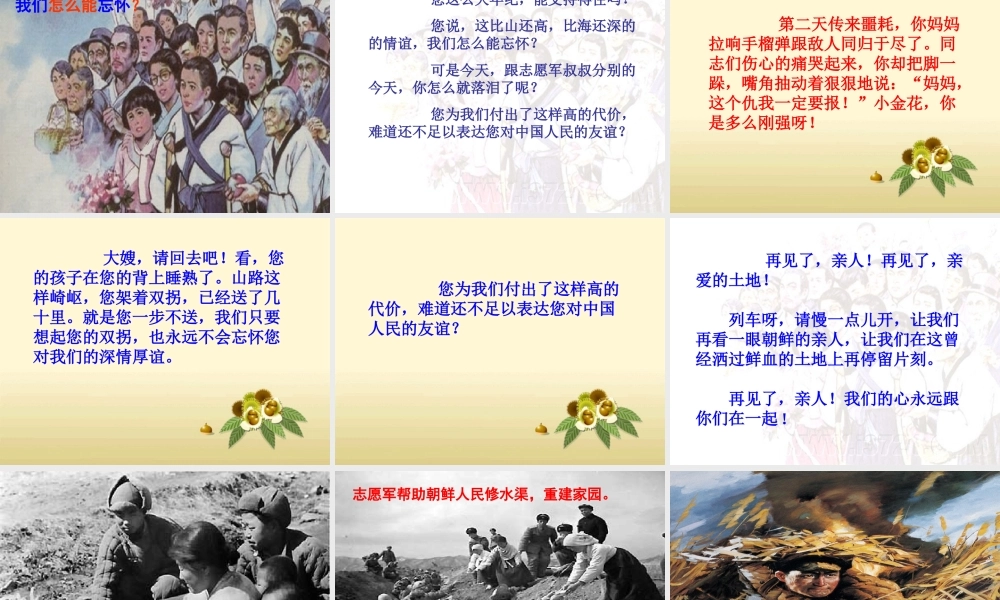 五年级语文下册 第四组 14 再见了，亲人教学课件2 新人教版-新人教版小学五年级下册语文课件