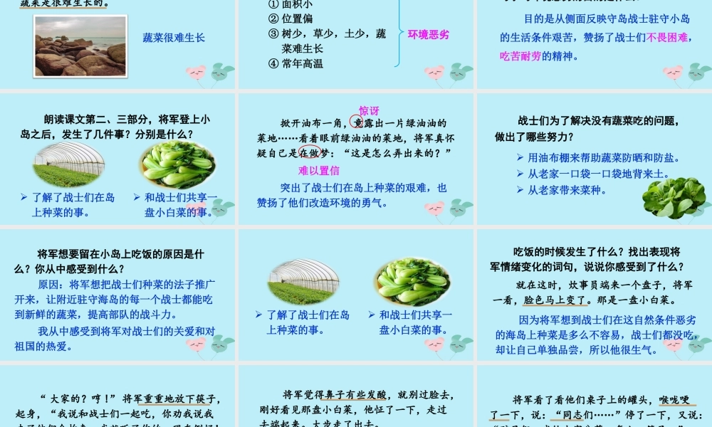 五年级语文上册 第四单元 15 《小岛》优秀课件 新人教版-新人教版小学五年级上册语文课件