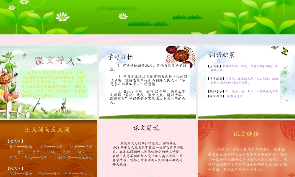 五年级语文下册 第四组 14 再见了，亲人课件3 新人教版-新人教版小学五年级下册语文课件