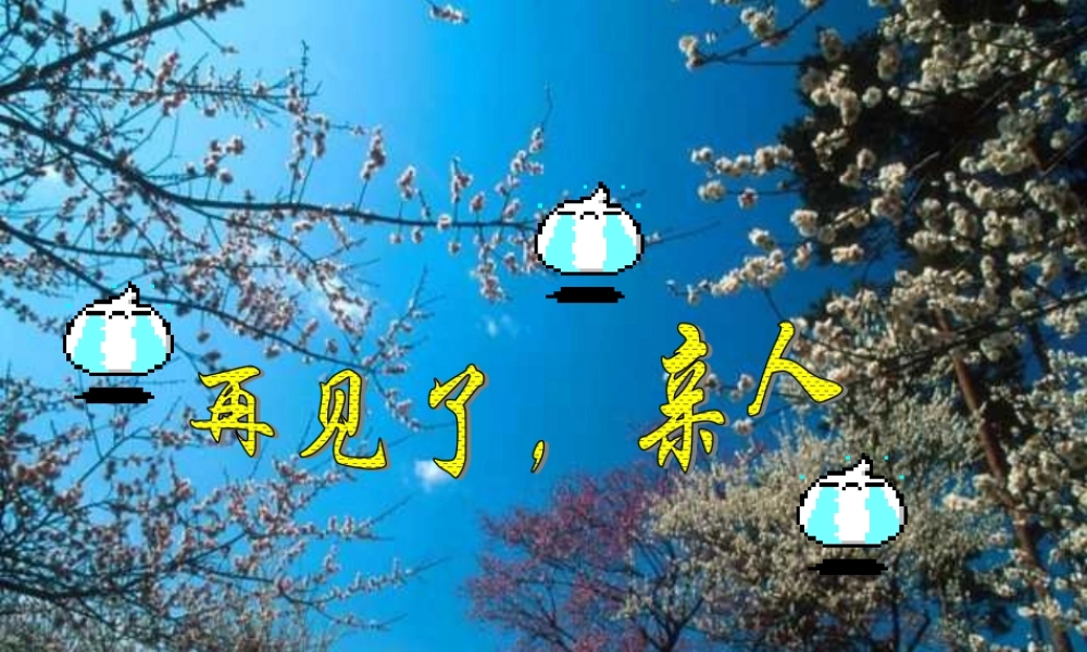 五年级语文下册 第四组 14 再见了，亲人课件4 新人教版-新人教版小学五年级下册语文课件