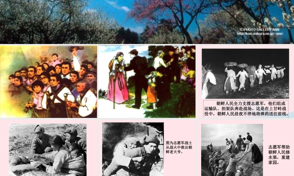 五年级语文下册 第四组 14 再见了，亲人课件4 新人教版-新人教版小学五年级下册语文课件