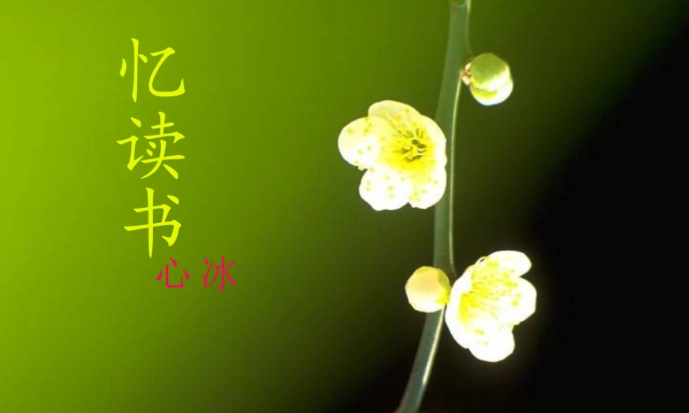 五年级语文下册 2《书》忆读书课件3 北师大版-北师大版小学五年级下册语文课件