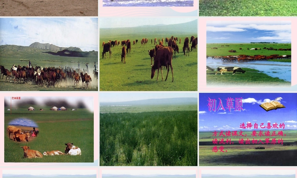 五年级语文下册 第一组 1《草原》课堂教学课件2 新人教版-新人教版小学五年级下册语文课件