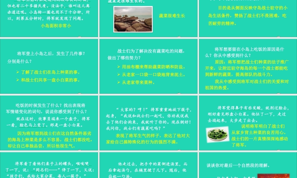 五年级语文上册 第四单元 15 小岛课件