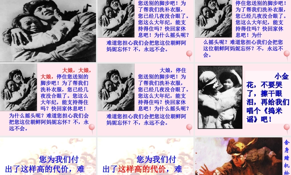 五年级语文下册 第四组 14《再见了，亲人》课堂教学课件3 新人教版-新人教版小学五年级下册语文课件