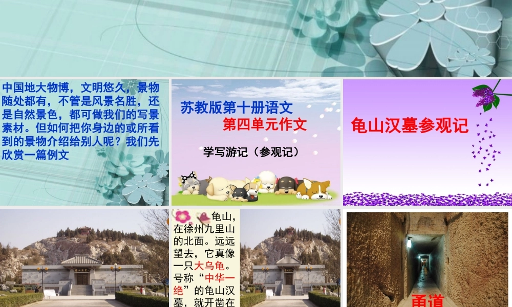 五年级语文下册 习作四《学写游记》课件1 苏教版-苏教版小学五年级下册语文课件