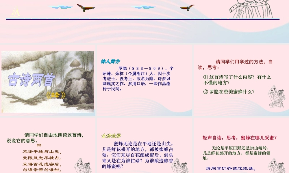 五年级语文下册 3《角度》古诗两首蜂课件1 北师大版-北师大版小学五年级下册语文课件