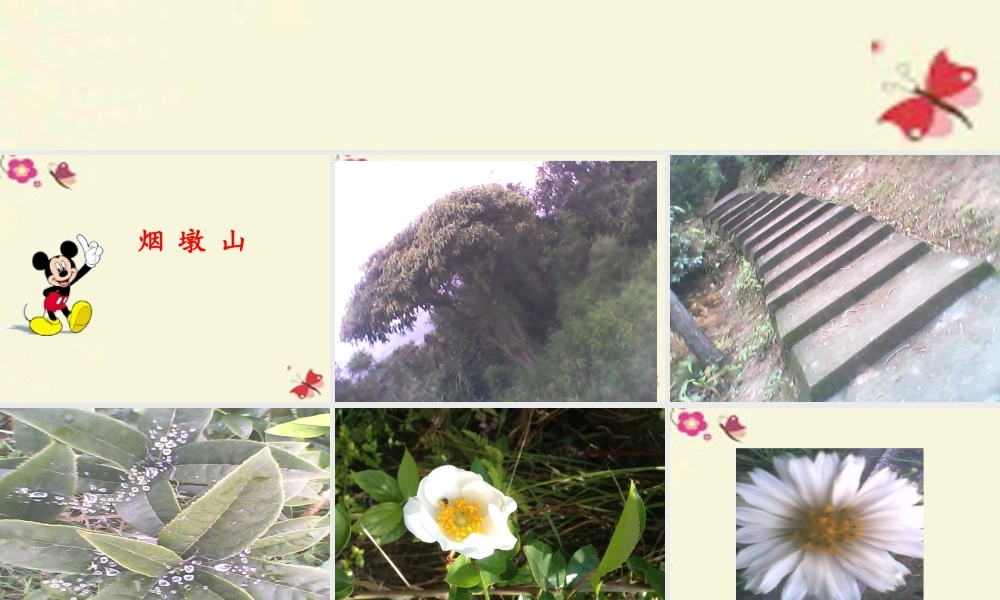 五年级语文下册 习作四《学写游记》课件3 苏教版-苏教版小学五年级下册语文课件