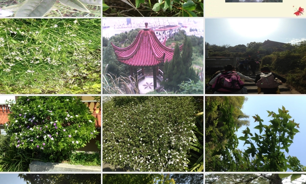 五年级语文下册 习作四《学写游记》课件3 苏教版-苏教版小学五年级下册语文课件