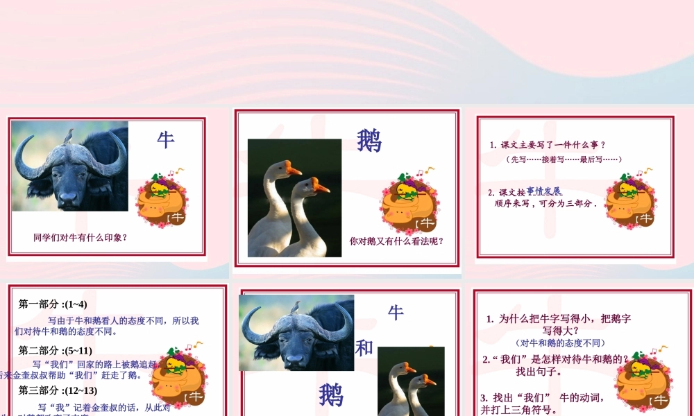 五年级语文下册 3《角度》牛和鹅课件2 北师大版-北师大版小学五年级下册语文课件