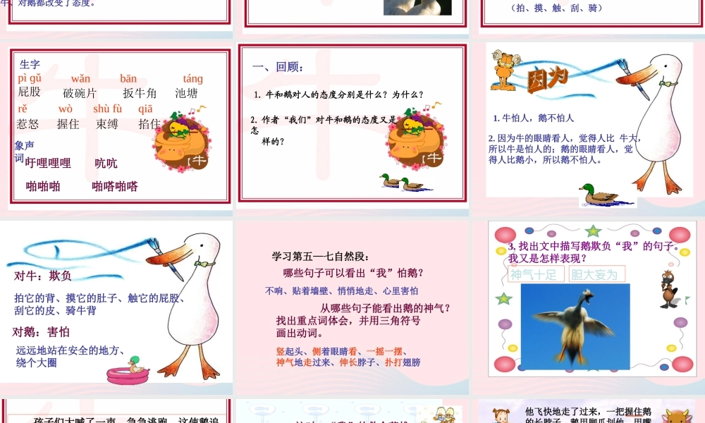 五年级语文下册 3《角度》牛和鹅课件2 北师大版-北师大版小学五年级下册语文课件