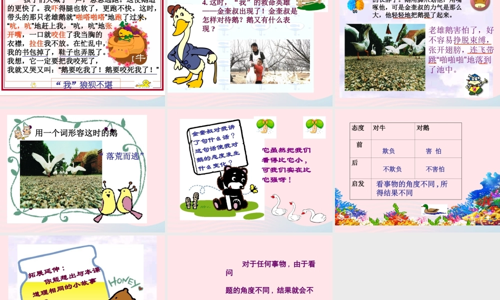 五年级语文下册 3《角度》牛和鹅课件2 北师大版-北师大版小学五年级下册语文课件