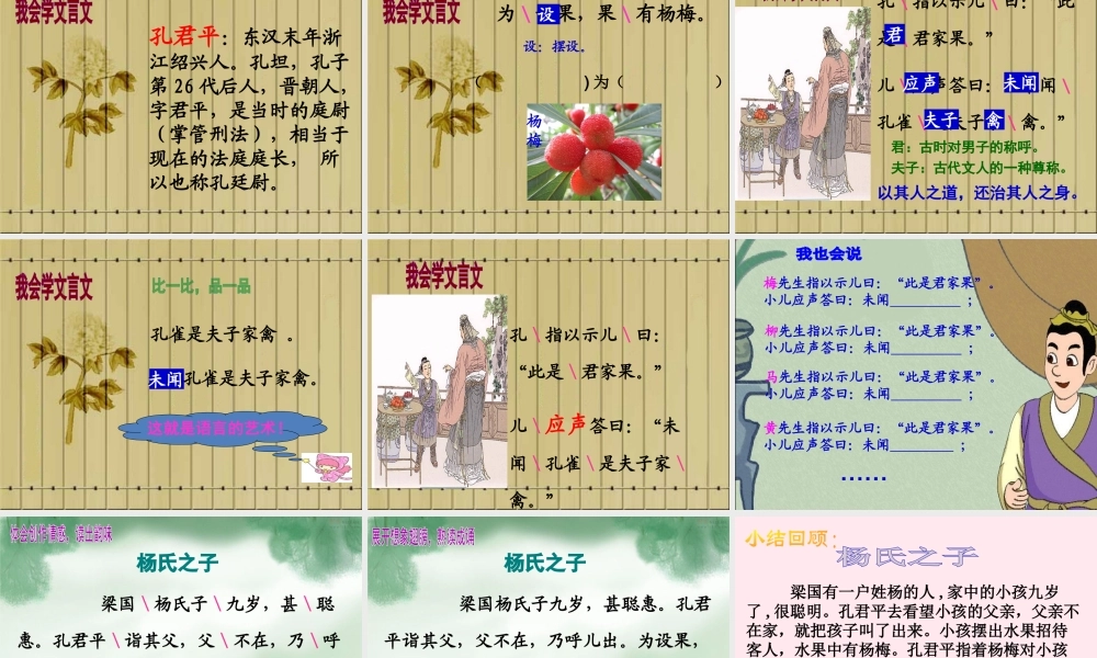 五年级语文下册 第三组 10《杨氏之子》课堂教学课件3 新人教版-新人教版小学五年级下册语文课件