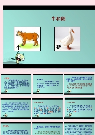 五年级语文下册 3《角度》牛和鹅课件3 北师大版-北师大版小学五年级下册语文课件