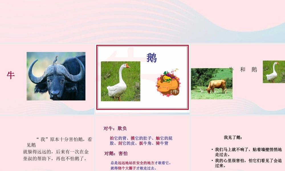 五年级语文下册 3《角度》牛和鹅课件4 北师大版-北师大版小学五年级下册语文课件