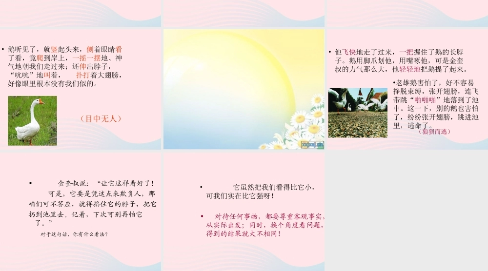 五年级语文下册 3《角度》牛和鹅课件4 北师大版-北师大版小学五年级下册语文课件