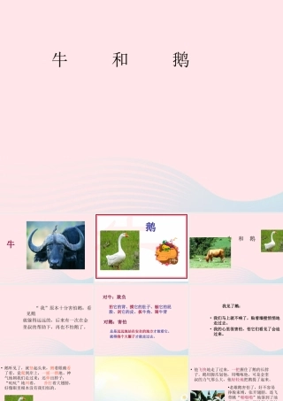 五年级语文下册 3《角度》牛和鹅课件4 北师大版-北师大版小学五年级下册语文课件