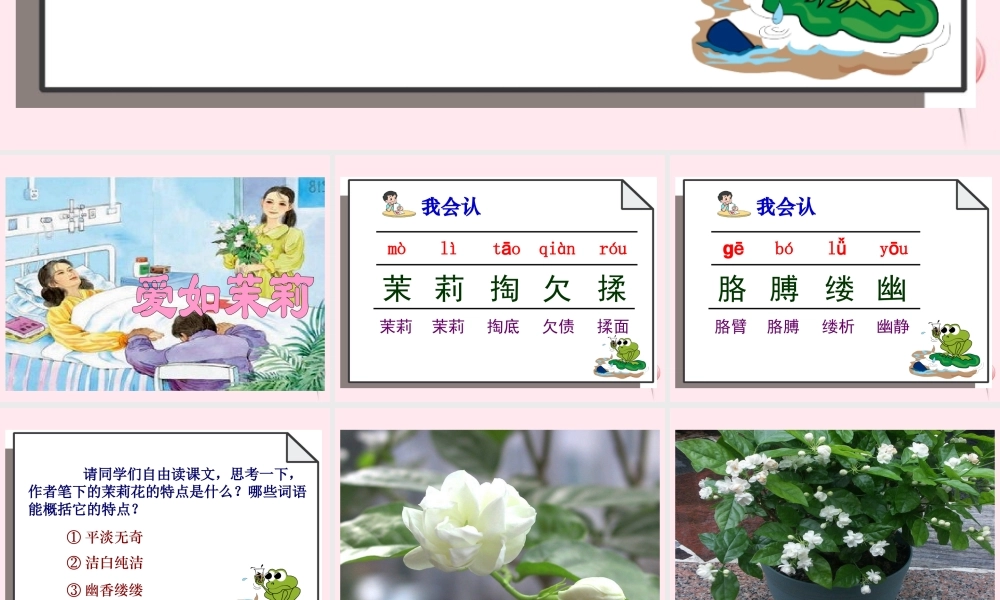 五年级语文下册 第五单元 第17课《爱如茉莉》课件 苏教版-苏教版小学五年级下册语文课件