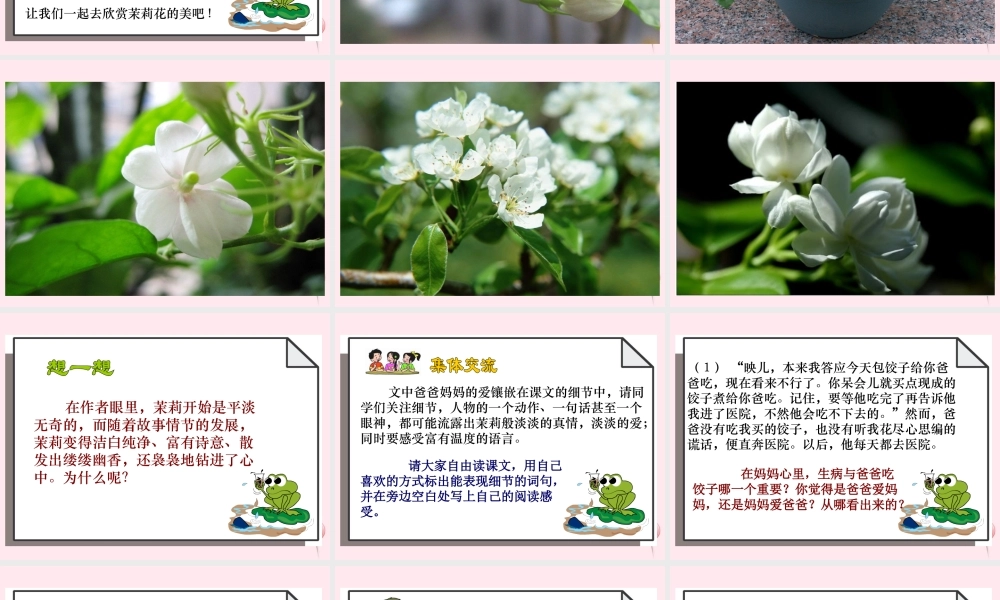 五年级语文下册 第五单元 第17课《爱如茉莉》课件 苏教版-苏教版小学五年级下册语文课件