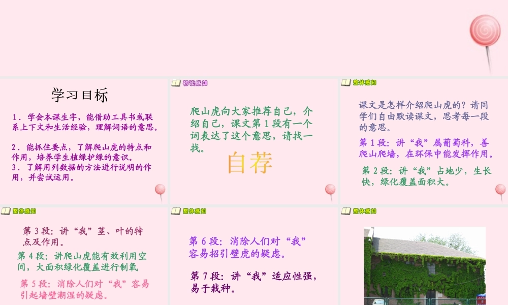 五年级语文下册 第五单元 第18课《送你一片绿荫》课件 西师大版-西师大版小学五年级下册语文课件