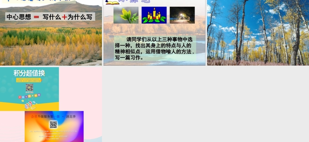 五年级语文下册 第一组 3 白杨教学参考课件二 新人教版-新人教版小学五年级下册语文课件