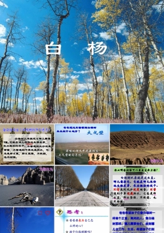 五年级语文下册 第一组 3 白杨教学参考课件二 新人教版-新人教版小学五年级下册语文课件