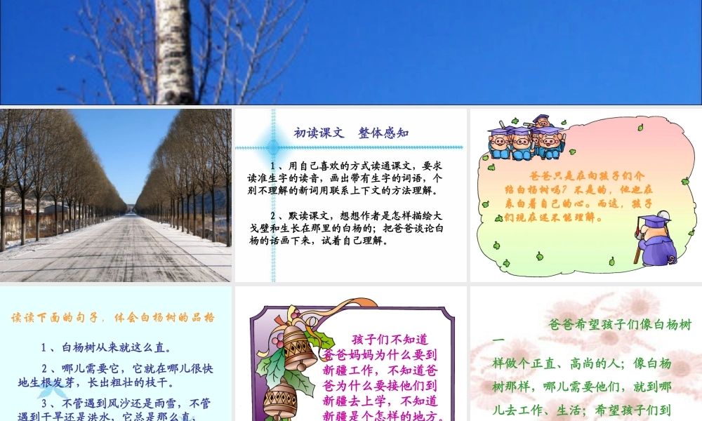 五年级语文下册 第一组 3 白杨教学参考课件一 新人教版-新人教版小学五年级下册语文课件