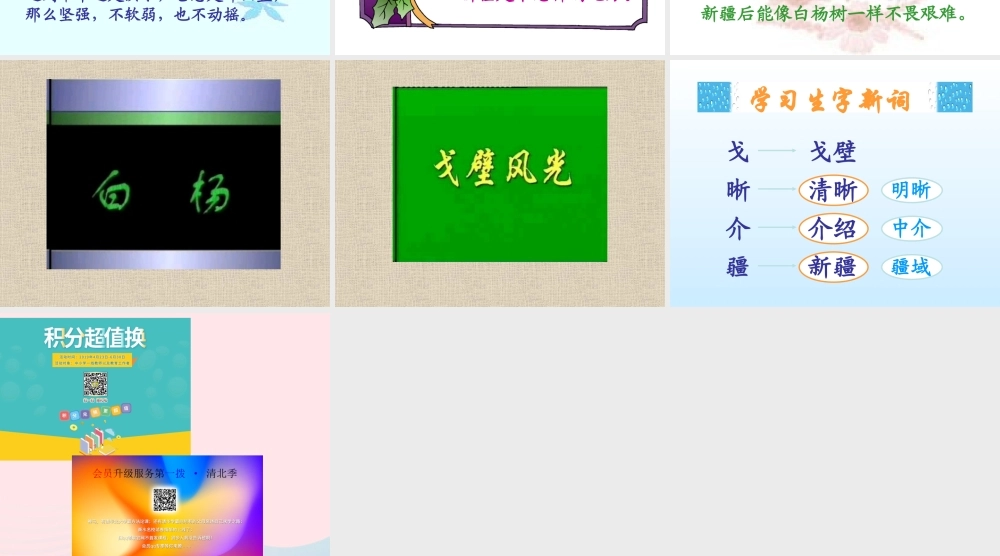 五年级语文下册 第一组 3 白杨教学参考课件一 新人教版-新人教版小学五年级下册语文课件