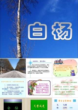 五年级语文下册 第一组 3 白杨教学参考课件一 新人教版-新人教版小学五年级下册语文课件