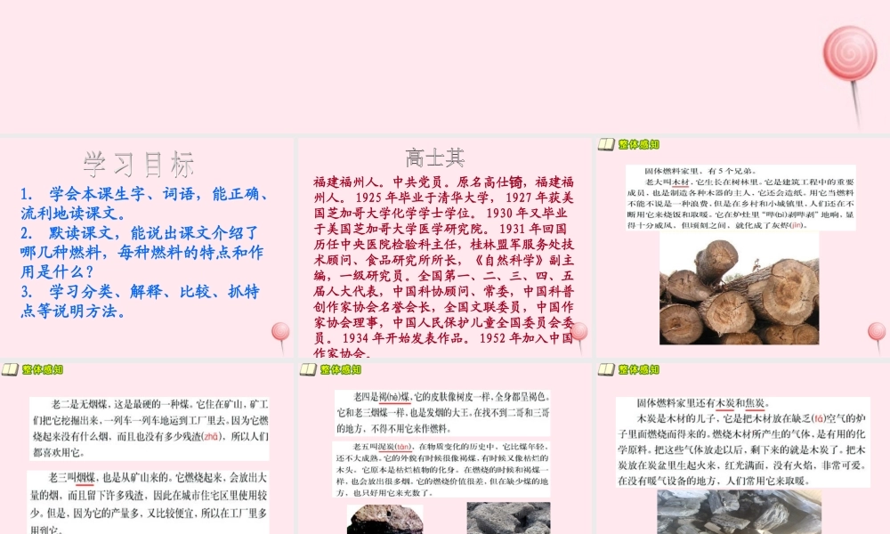 五年级语文下册 第五单元 第19课《燃料的家庭》课件 西师大版-西师大版小学五年级下册语文课件