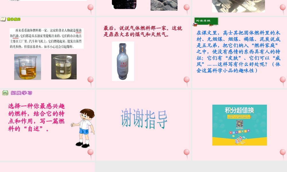 五年级语文下册 第五单元 第19课《燃料的家庭》课件 西师大版-西师大版小学五年级下册语文课件