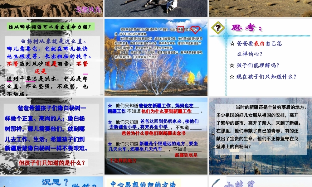 五年级语文下册 第一组 3 白杨教学课件1 新人教版-新人教版小学五年级下册语文课件