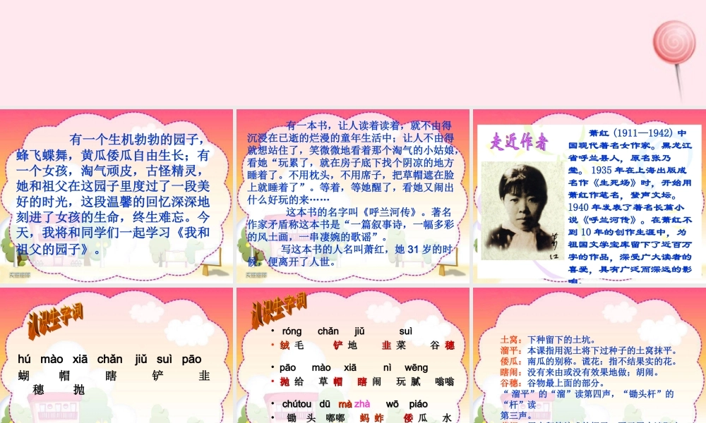 五年级语文下册 第五单元 第19课《我和祖父的园子》课件1 苏教版-苏教版小学五年级下册语文课件