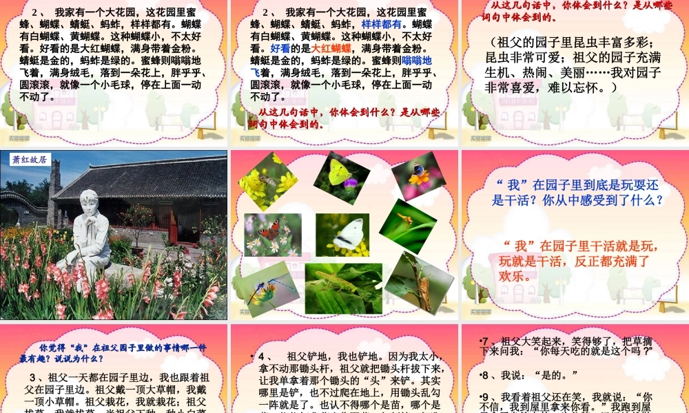 五年级语文下册 第五单元 第19课《我和祖父的园子》课件1 苏教版-苏教版小学五年级下册语文课件