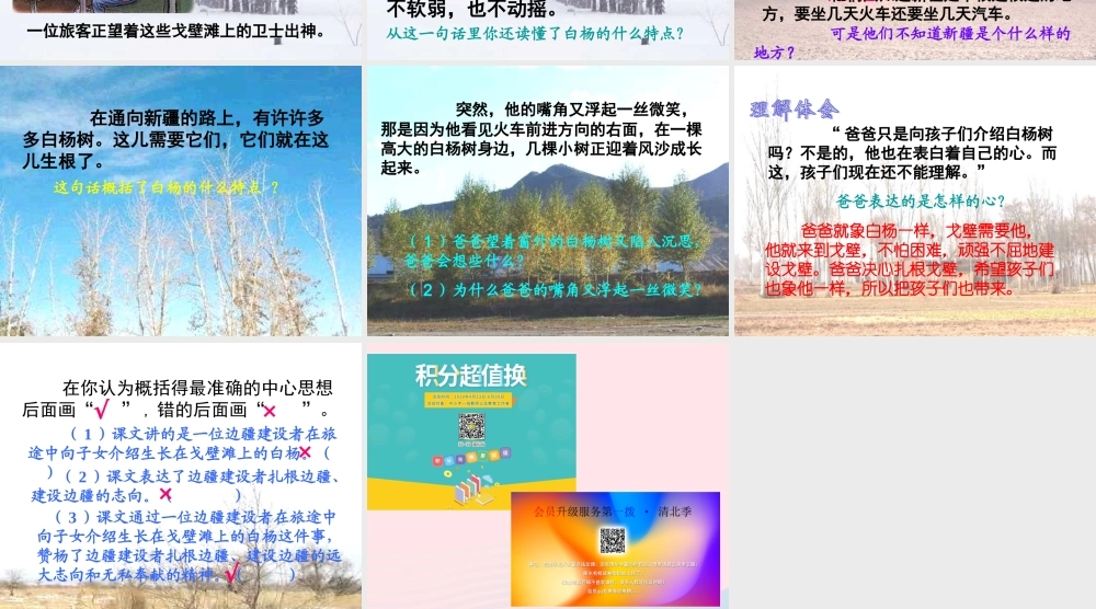 五年级语文下册 第一组 3 白杨教学课件2 新人教版-新人教版小学五年级下册语文课件