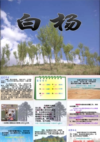 五年级语文下册 第一组 3 白杨教学课件2 新人教版-新人教版小学五年级下册语文课件